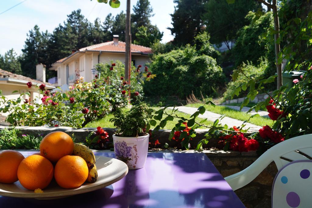Snegar Apartments Ohrid Eksteriør bilde